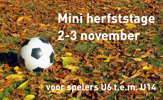 Mini stage herfstvakantie