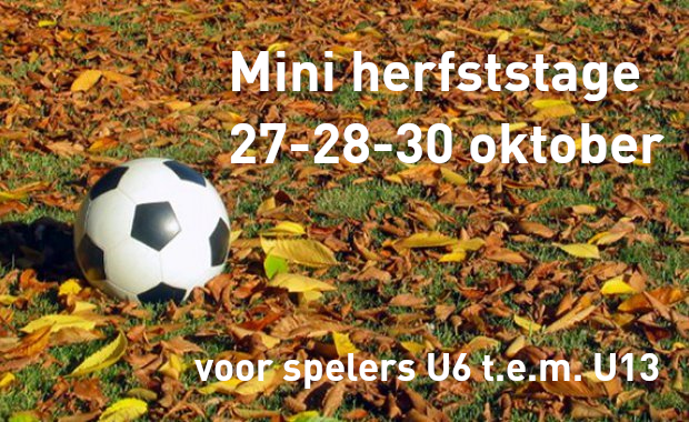 Ministage herfstvakantie 2025