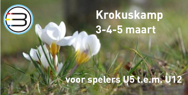 Krokuskamp 2025
